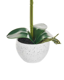 Pianta artificiale ORCHID 42 cm Bianco