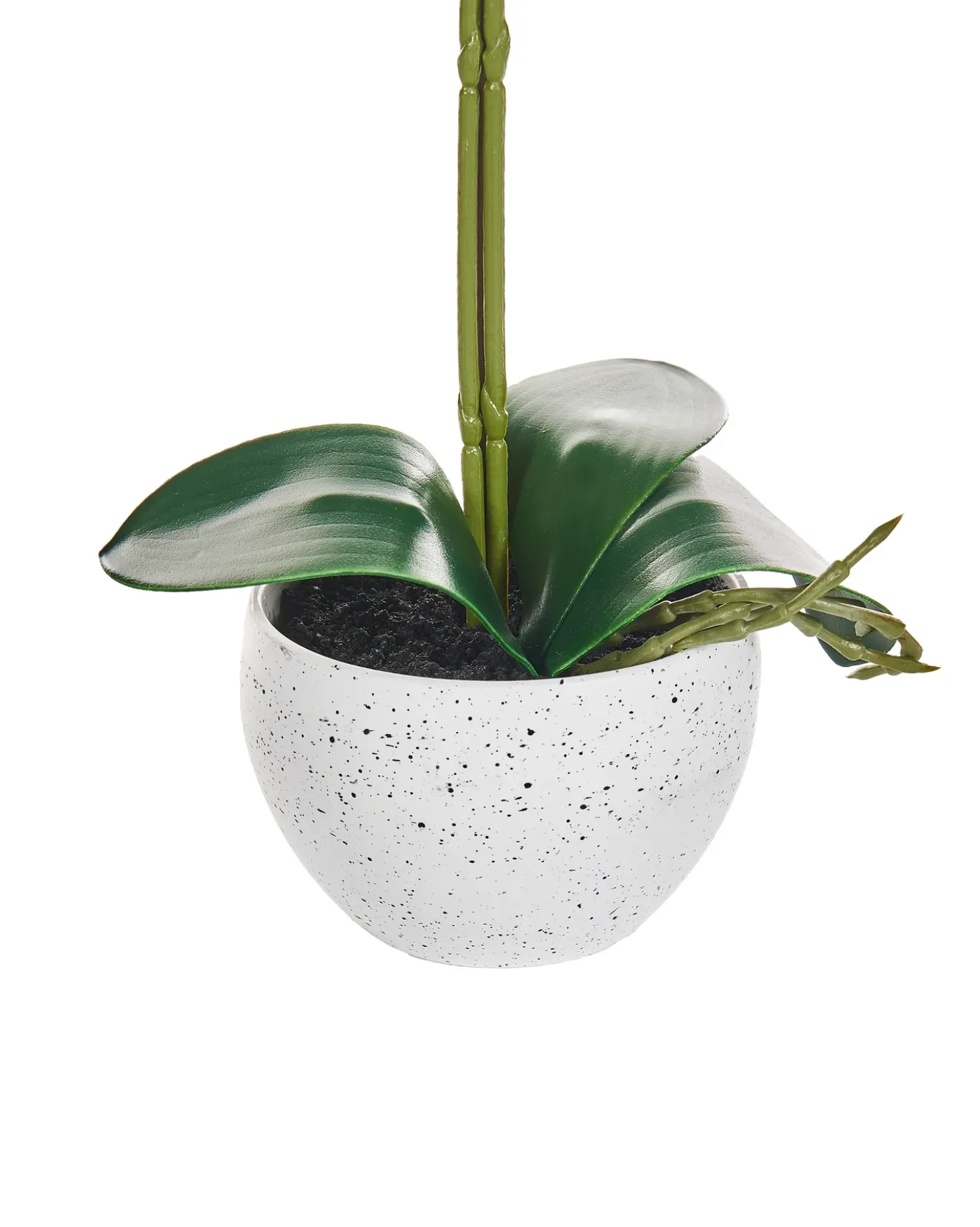 Pianta artificiale ORCHID 42 cm Bianco