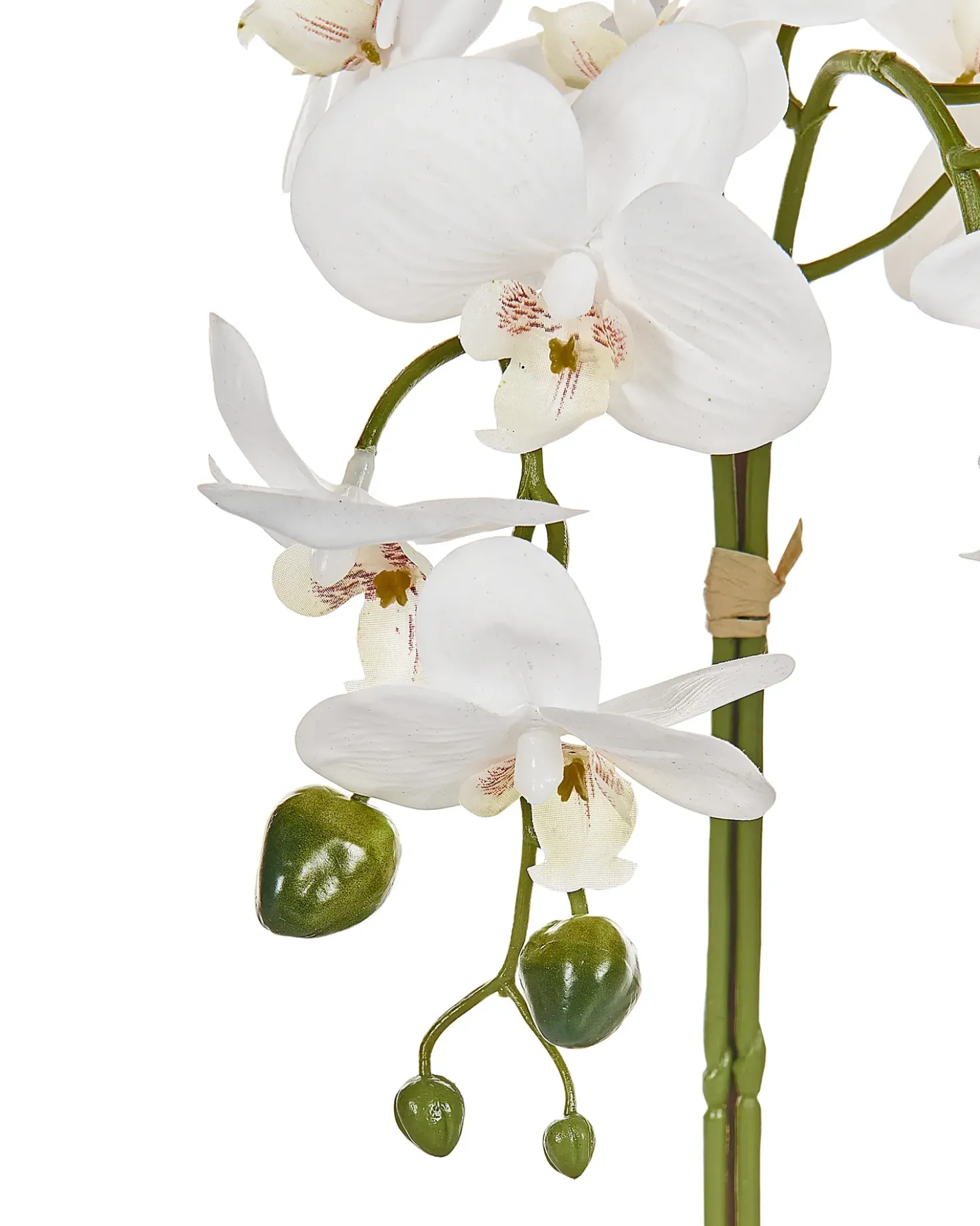 Pianta artificiale ORCHID 42 cm Bianco