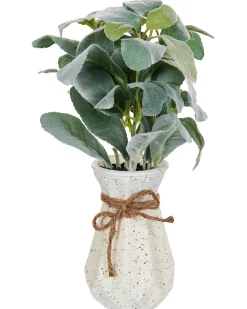 Pianta artificiale PEPEROMIA ARGYREIA 30 cm Verde