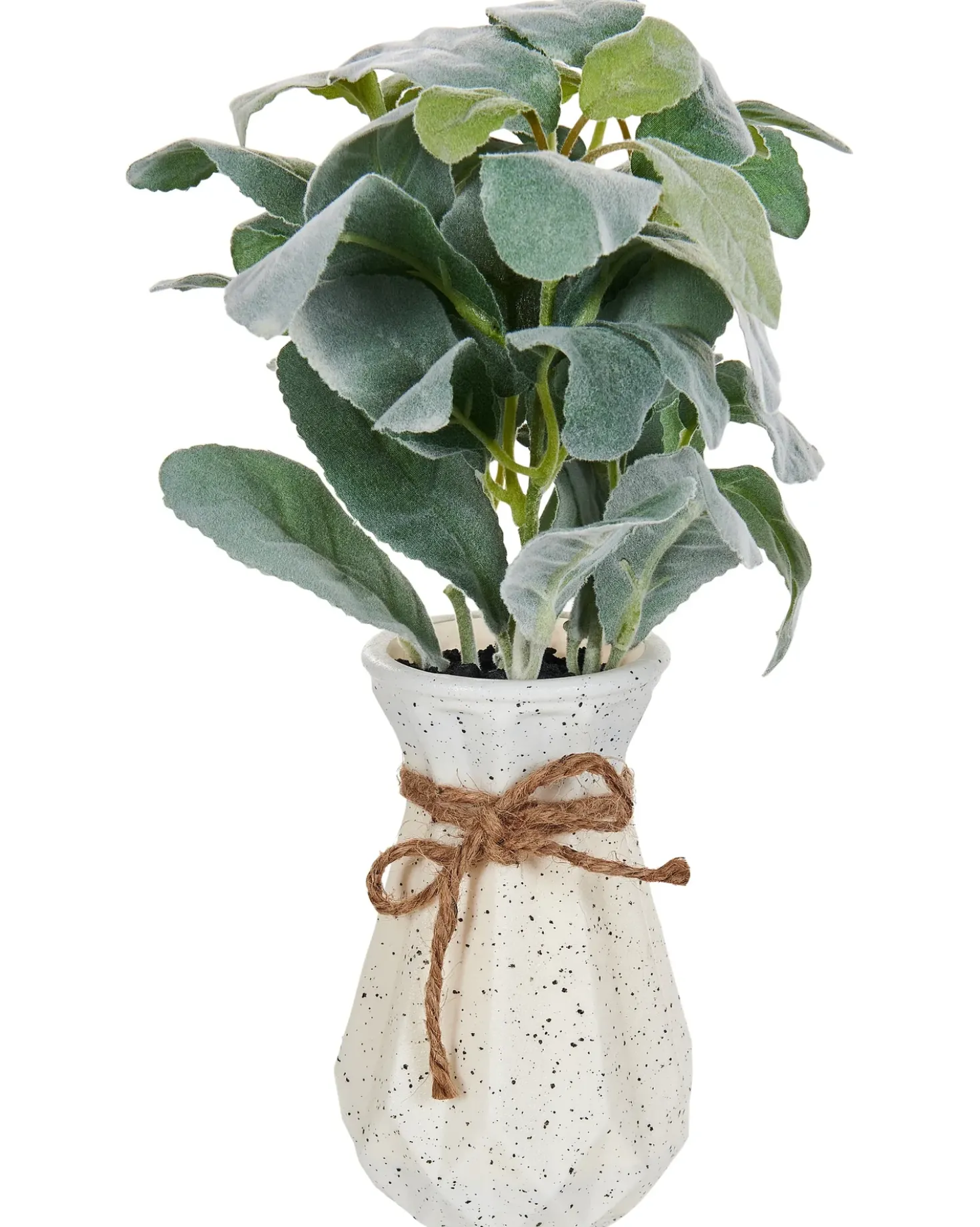 Pianta artificiale PEPEROMIA ARGYREIA 30 cm Verde