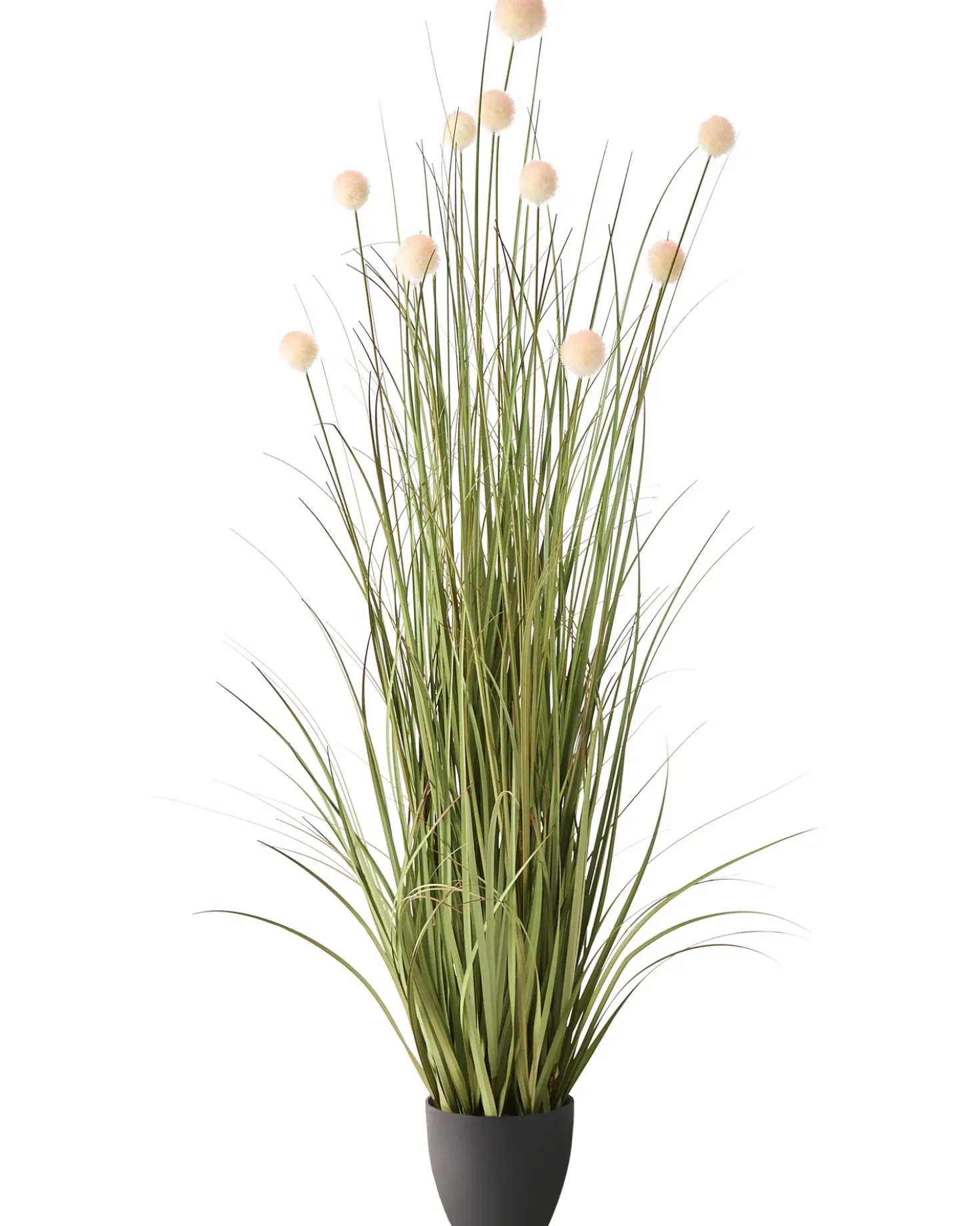 Pianta artificiale POMPOM GRASS 120 cm Verde