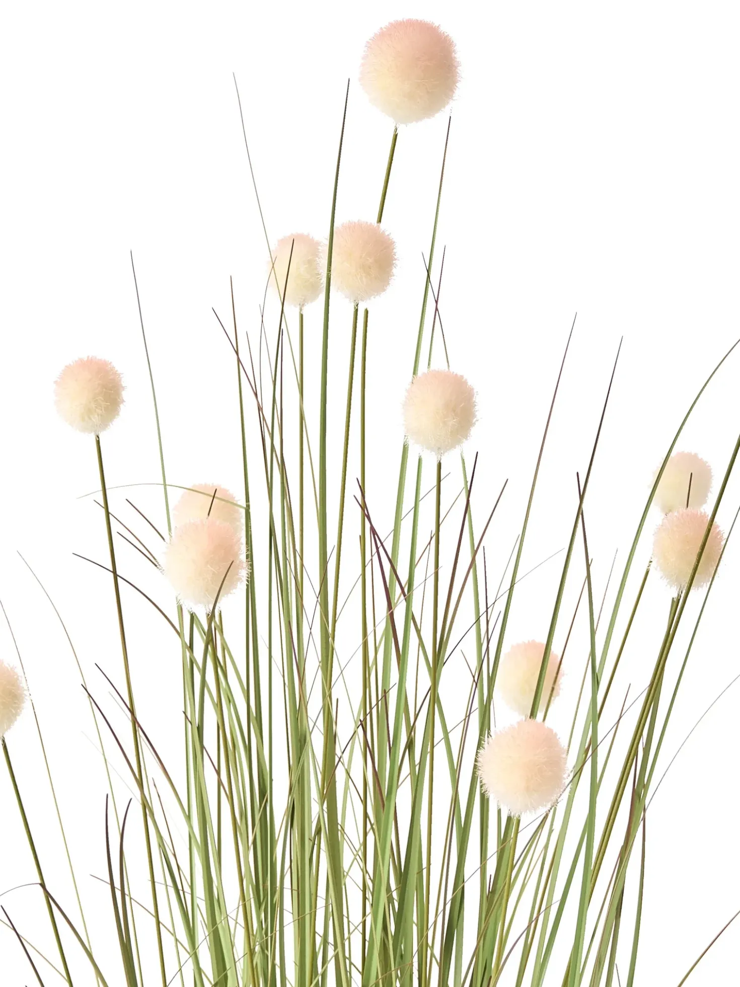 Pianta artificiale POMPOM GRASS 120 cm Verde