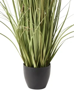 Pianta artificiale POMPOM GRASS 120 cm Verde