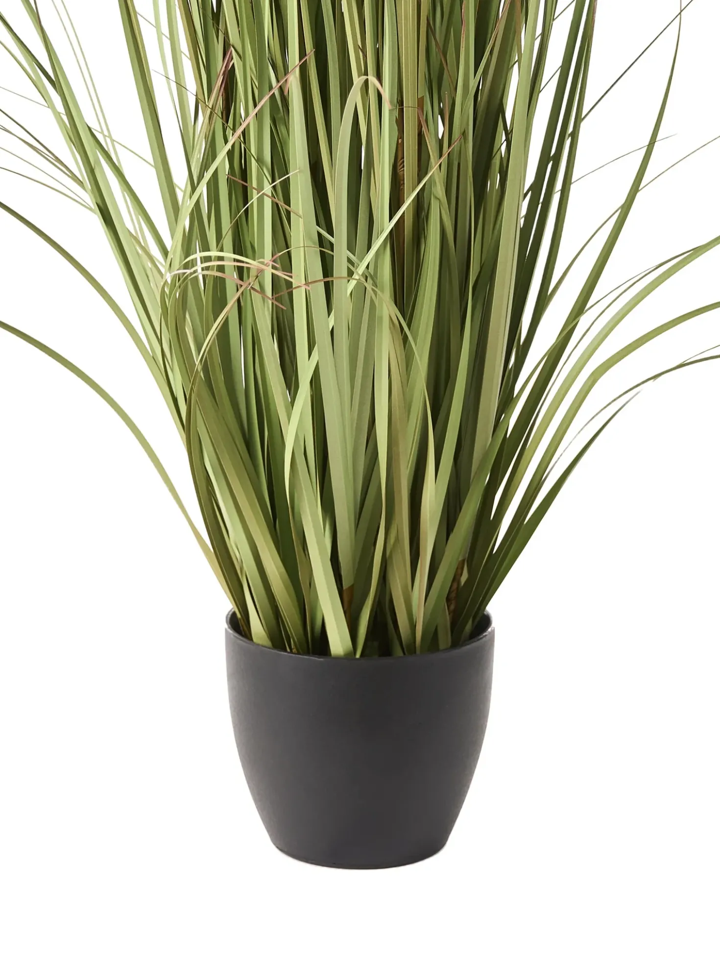 Pianta artificiale POMPOM GRASS 120 cm Verde