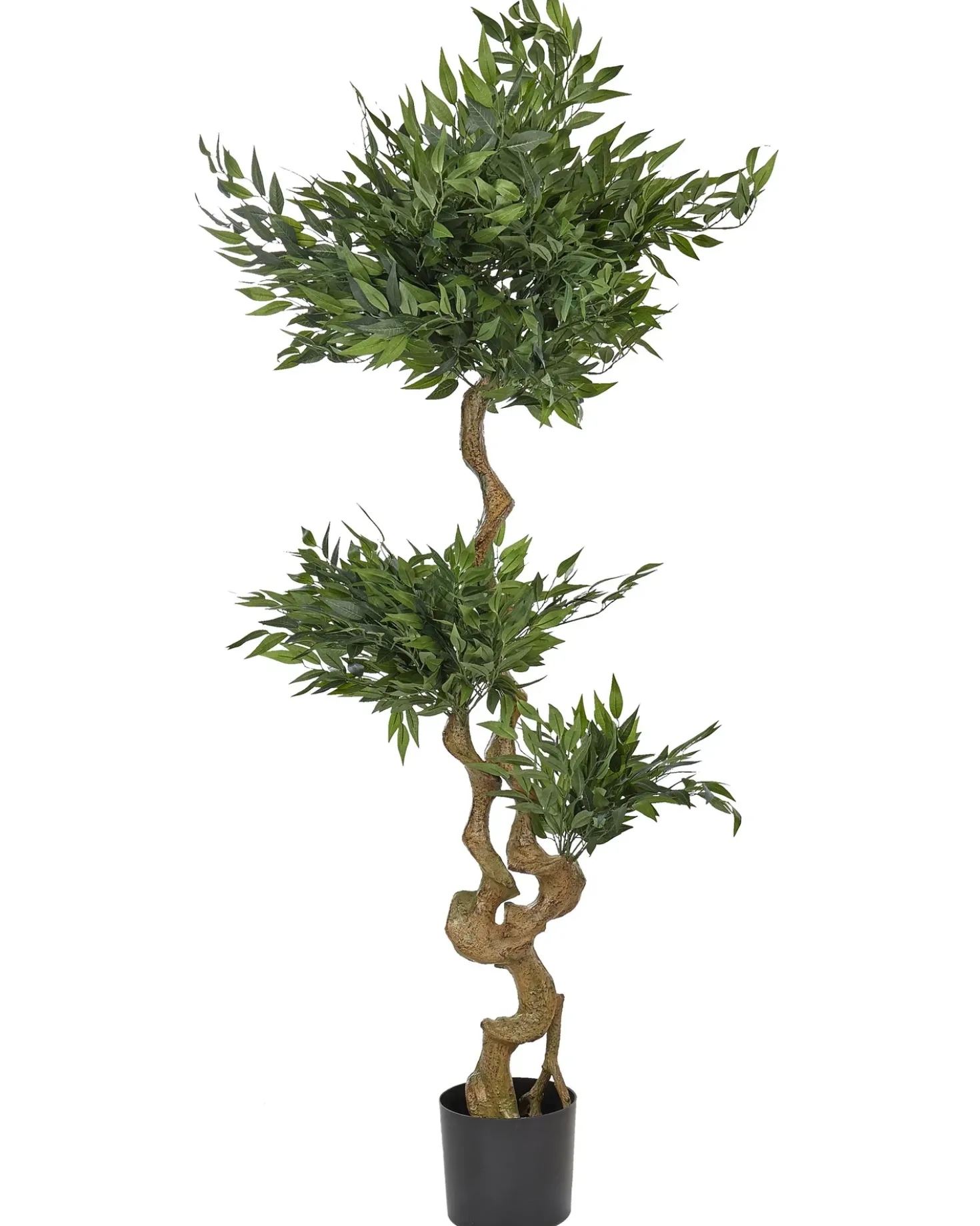 Pianta artificiale RUSCUS TREE 166 cm Verde