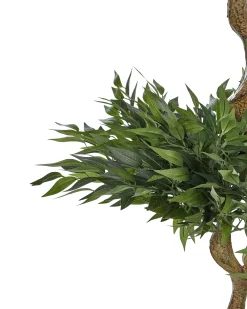 Pianta artificiale RUSCUS TREE 166 cm Verde