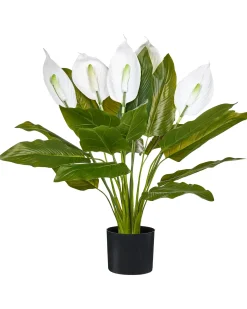 Pianta artificiale SPATHPHYLLUM 70 cm Verde