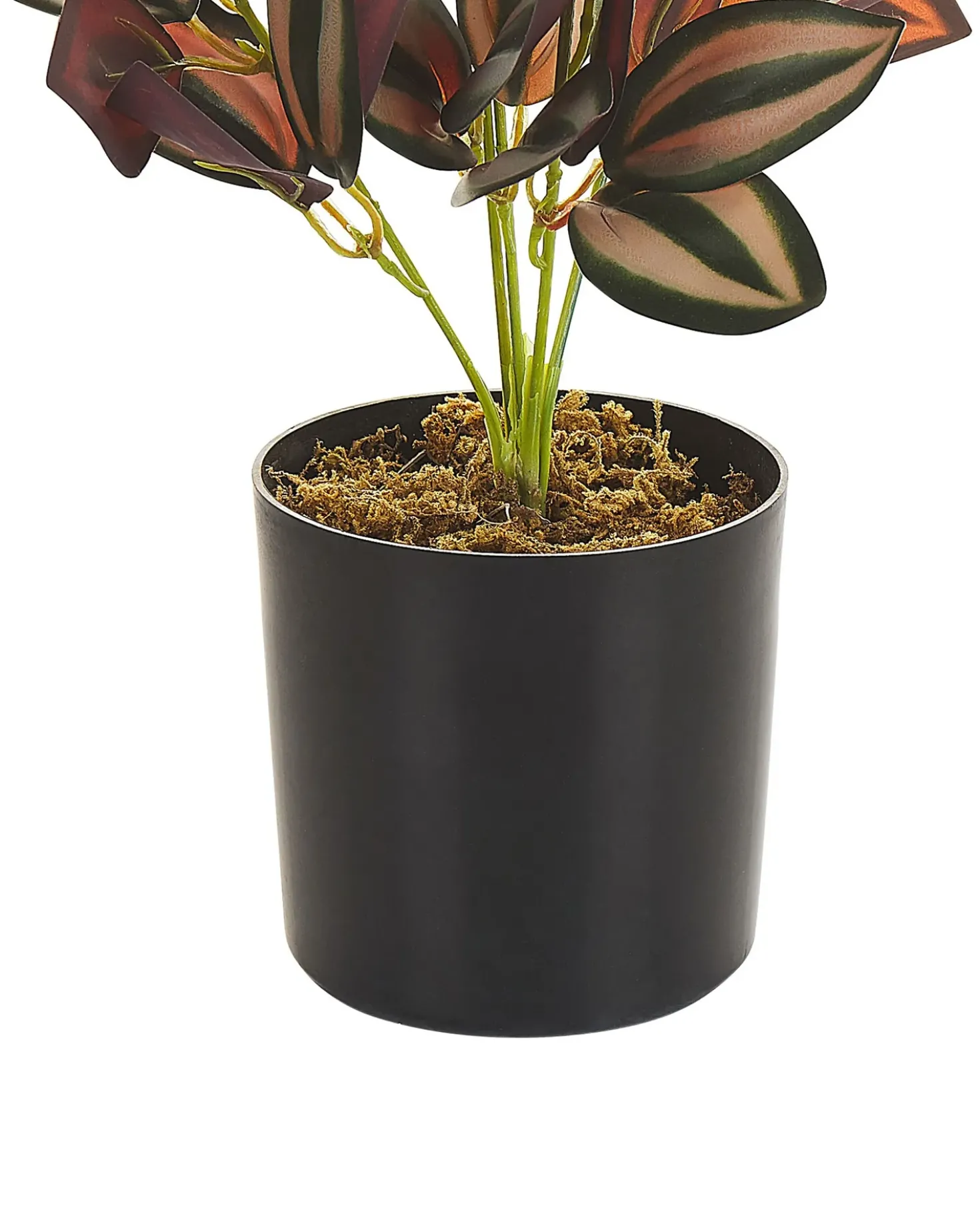 Pianta artificiale TRADESCANTIA 35 cm Rosso