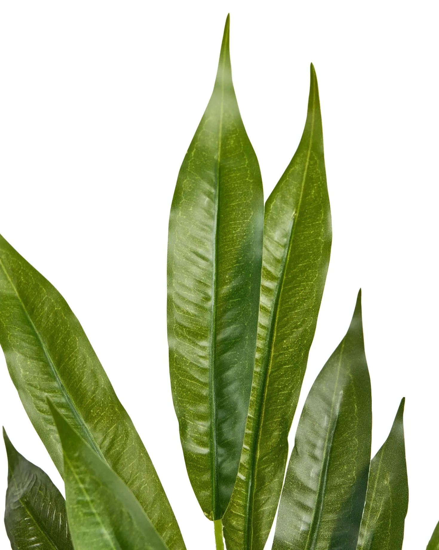 Pianta artificiale WILLOW TREE 180 cm