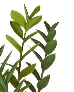 Pianta artificiale ZAMIIFOLIA 76 cm Verde