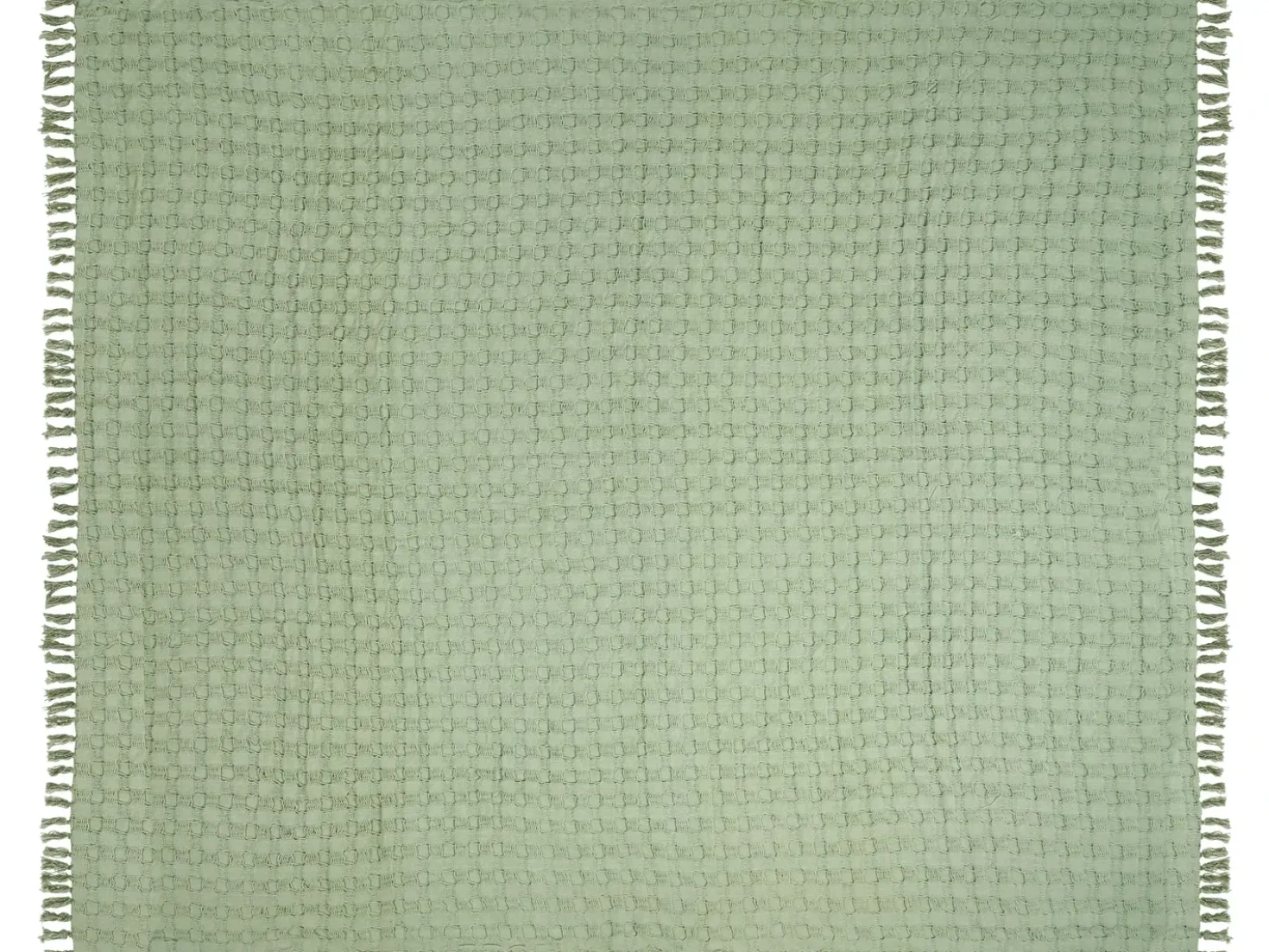 Piumone BERE Cotone 220 x 240 cm Verde