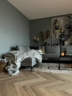 Piumone DELICE 200 x 220 cm Grigio chiaro