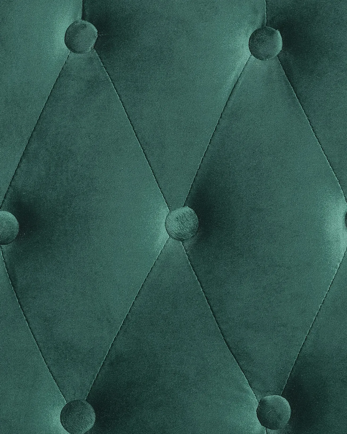 Poltrona ALTA Velluto Verde scuro
