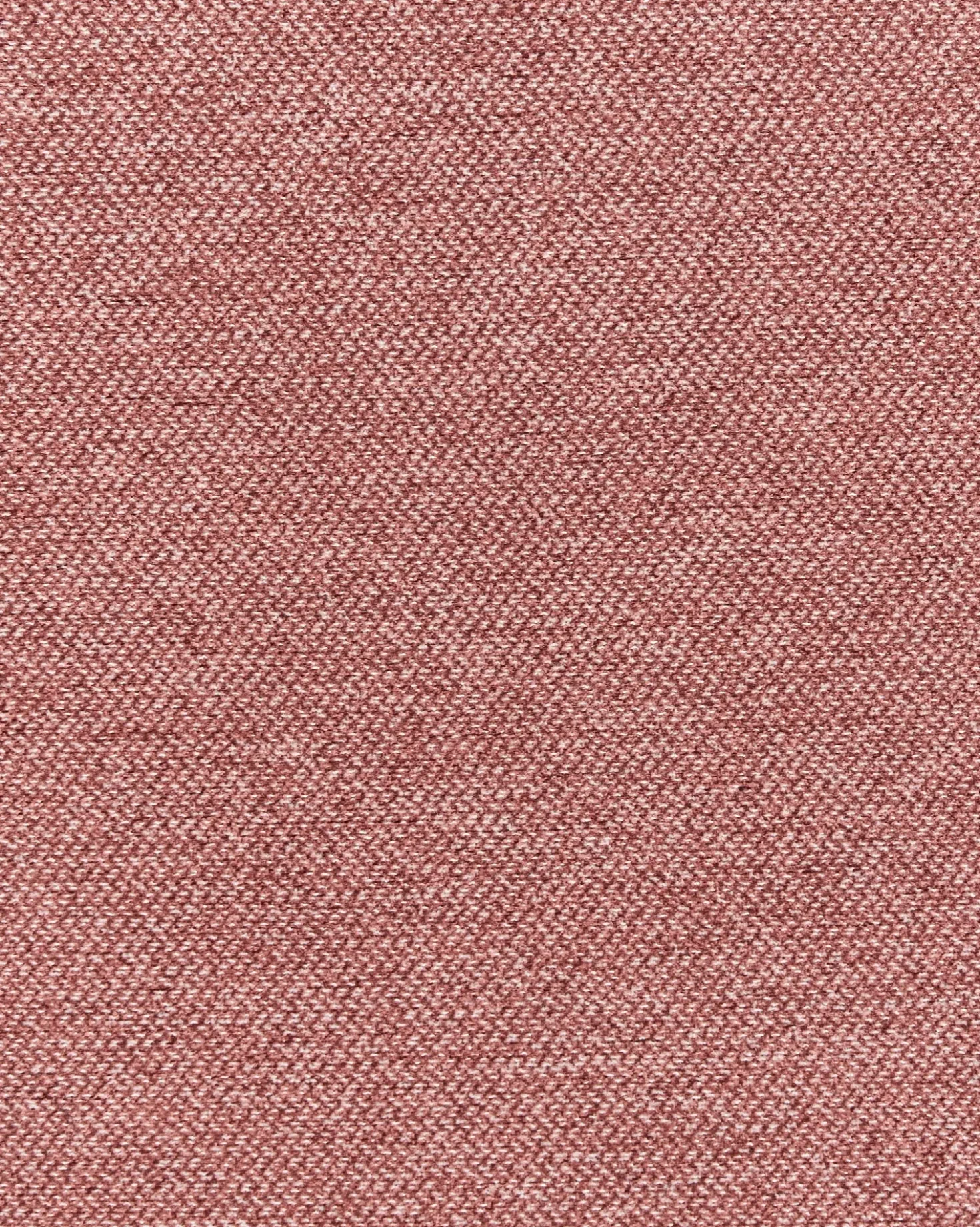 Poltrona BREDA Tessuto Rosa
