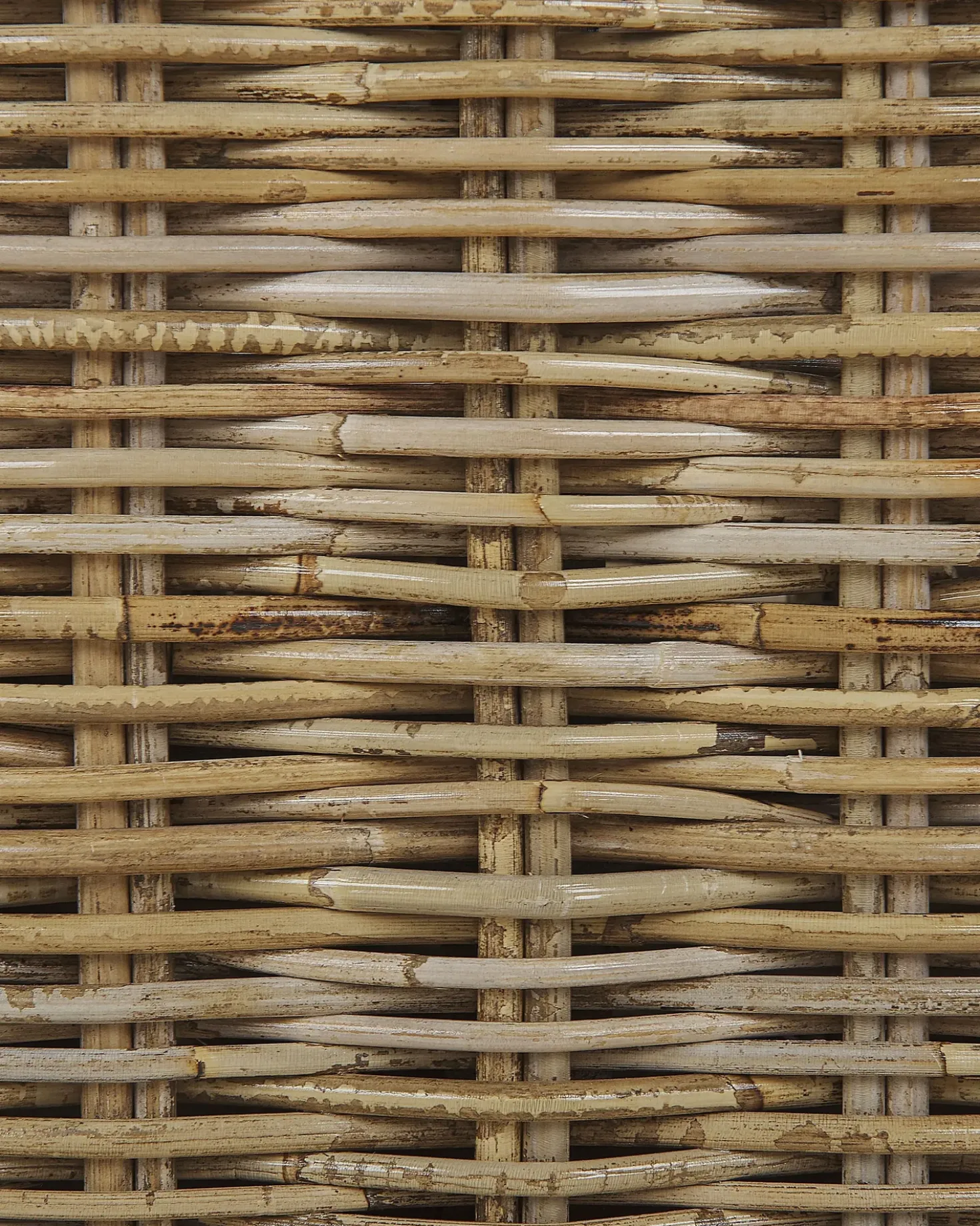 Poltrona da giardino ARDEA Rattan Marrone chiaro