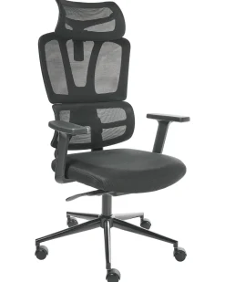 Poltrona da scrivania OMEGA Nero