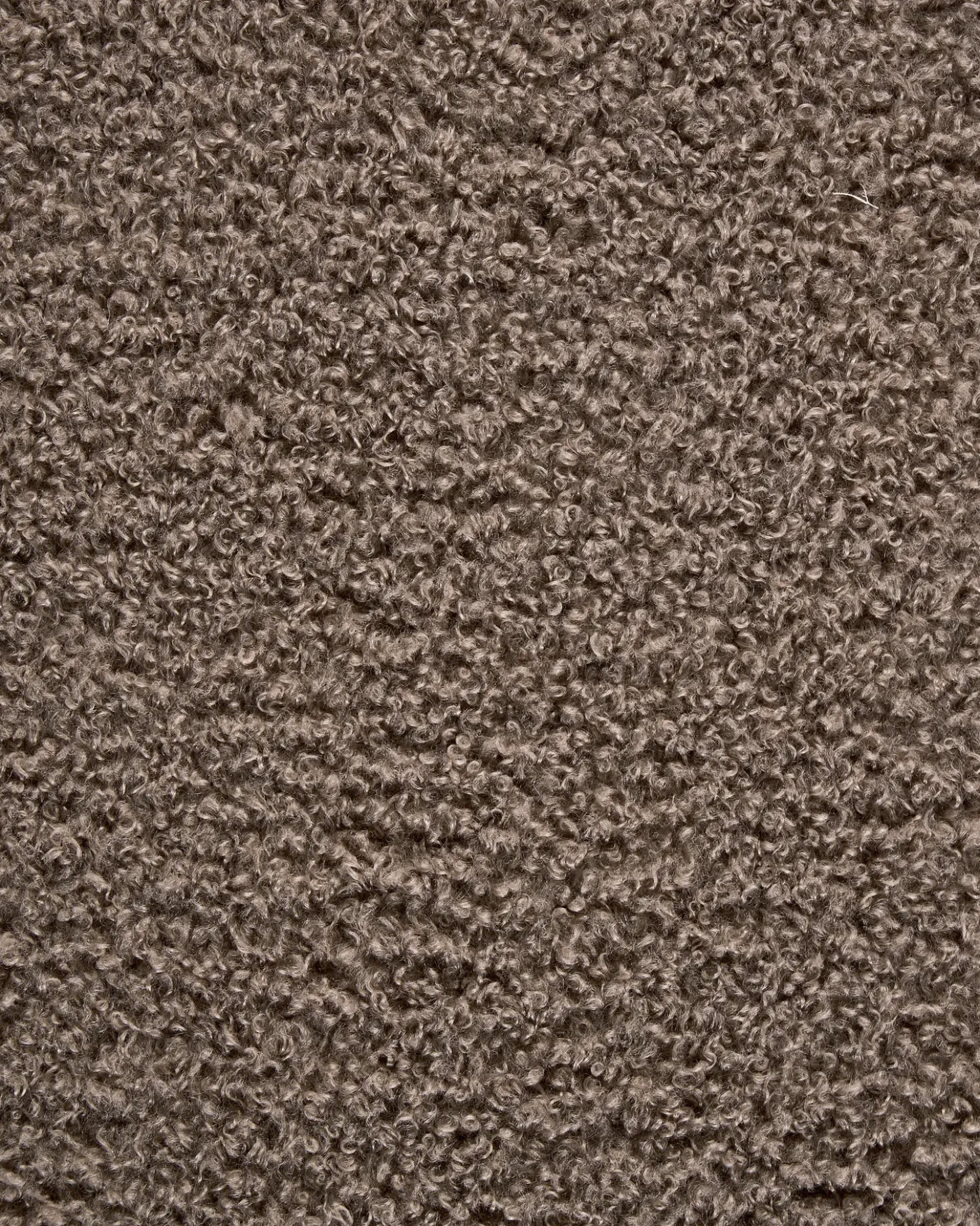 Poltrona DAY Bouclé Tortora