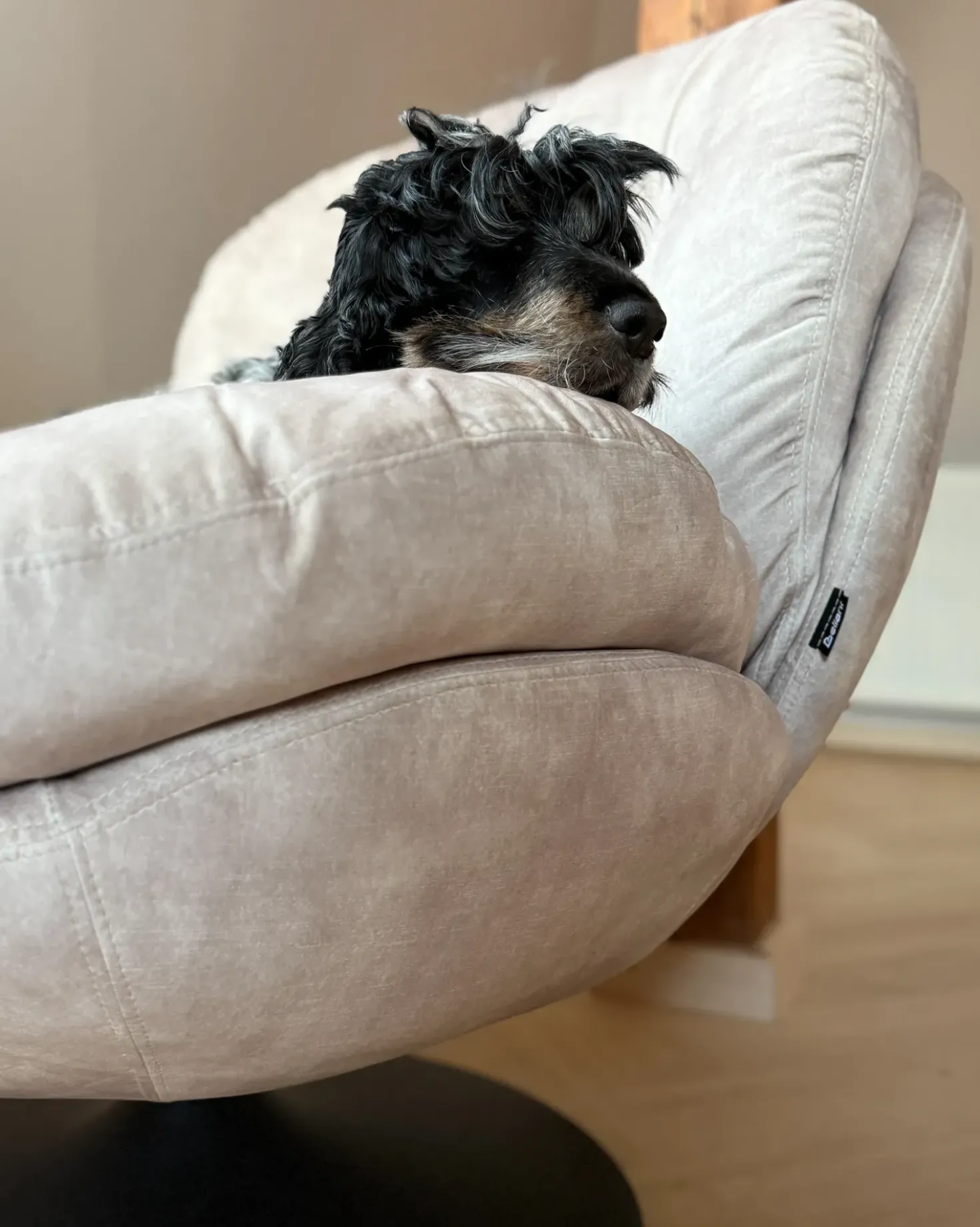 Poltrona girevole NOLVIK Velluto Beige chiaro