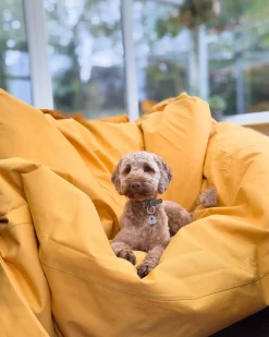 Poltrona sacco 600 L FUZZY 180 cm 230 cm Giallo