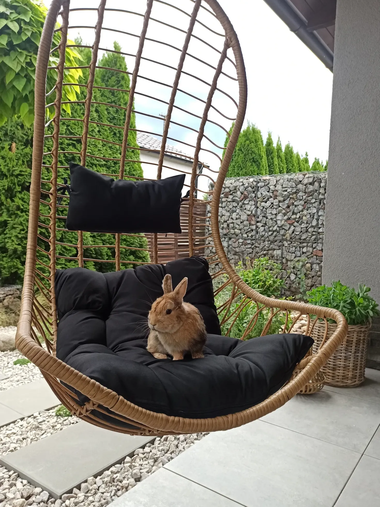 Poltrona sospesa con supporto da pavimento PINETO Rattan sintetico (PE) Naturale