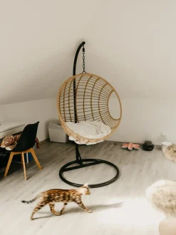 Poltrona sospesa con supporto da pavimento ASPIO Rattan sintetico (PE) Naturale