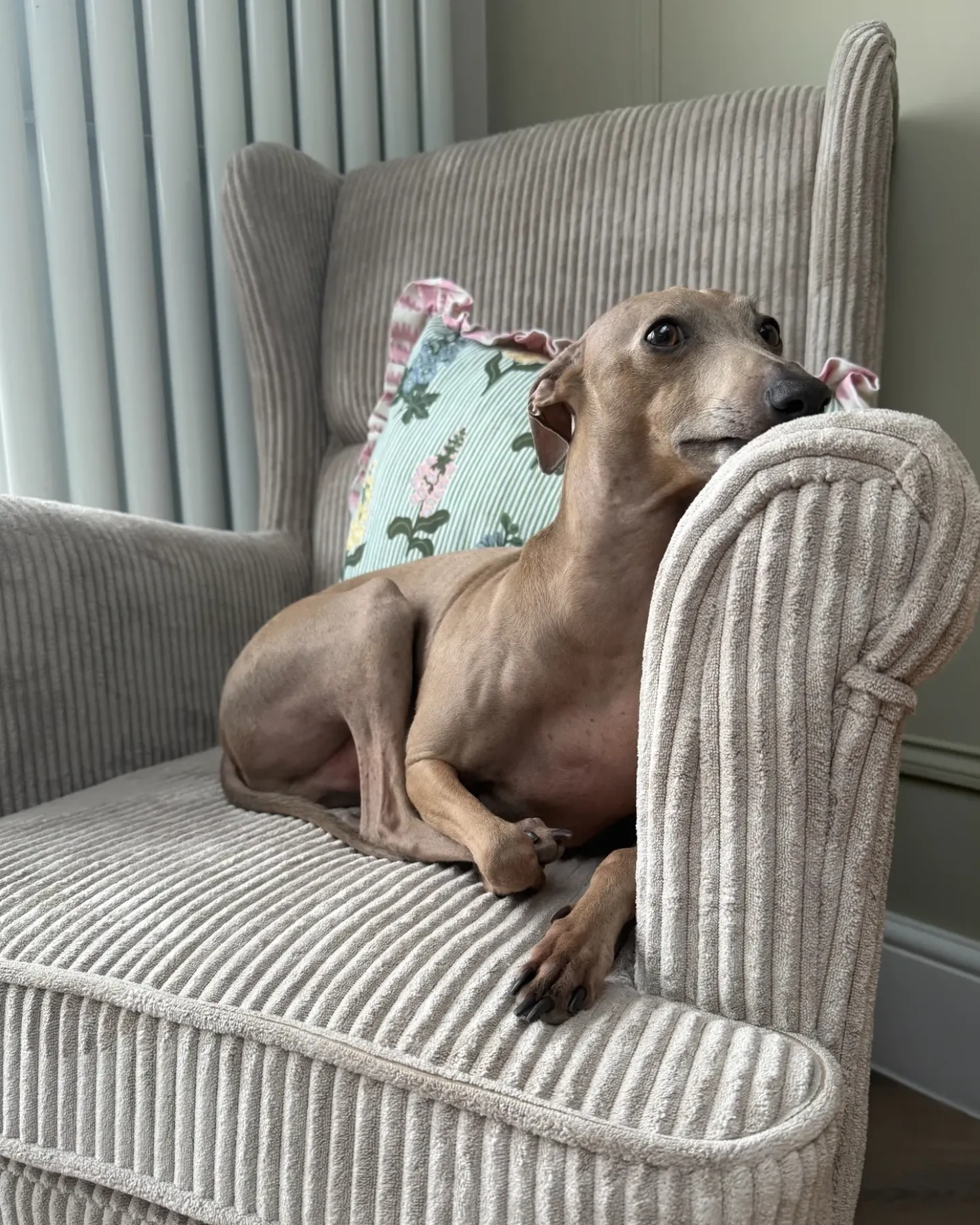 Poltrona Wingback ABSON Velluto a coste Beige