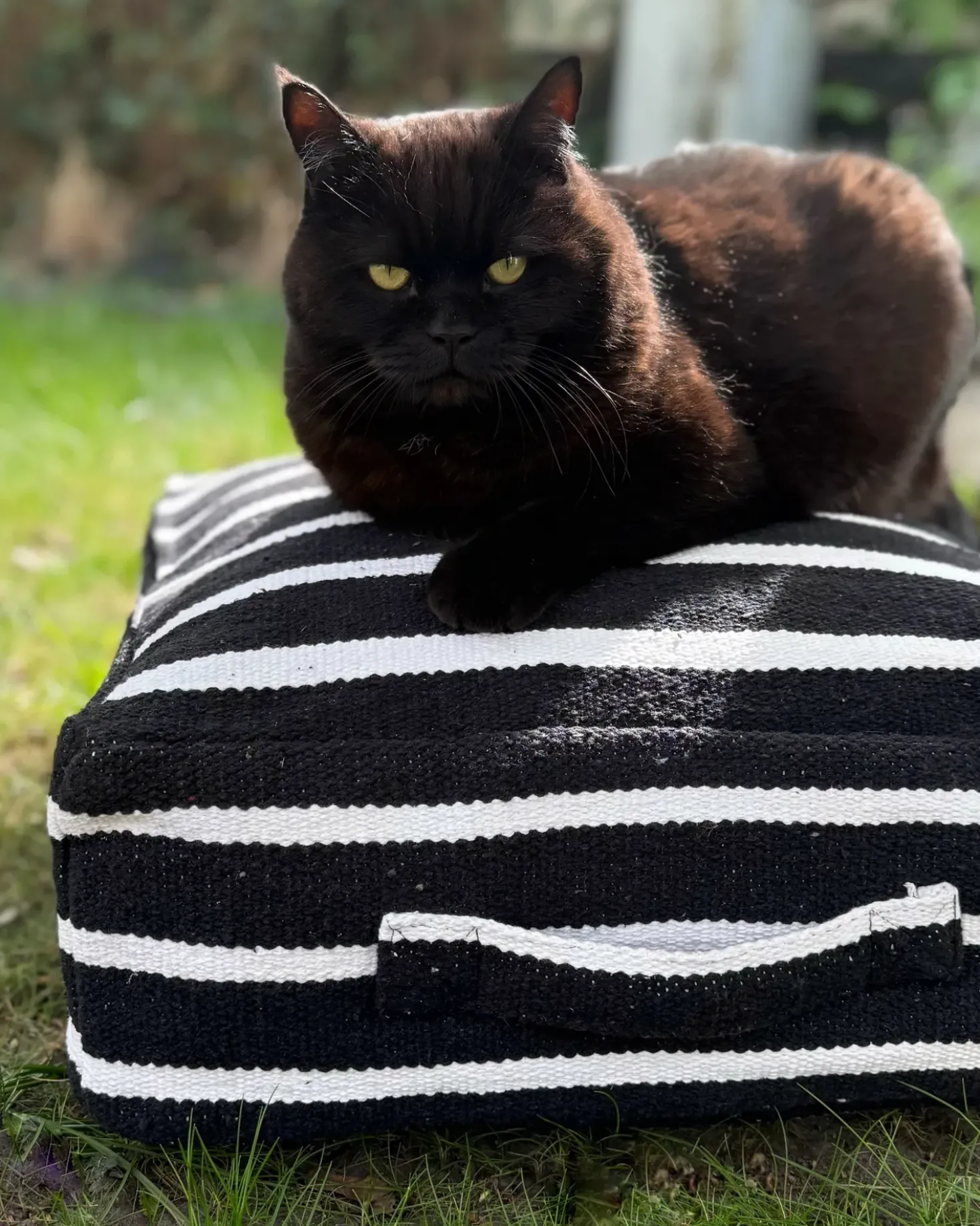 Pouf SETTAT Cotone Nero