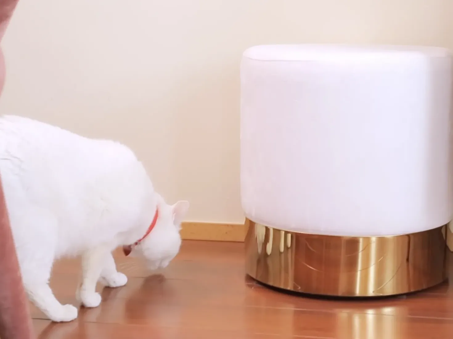 Pouf SOPHIA Velluto Bianco