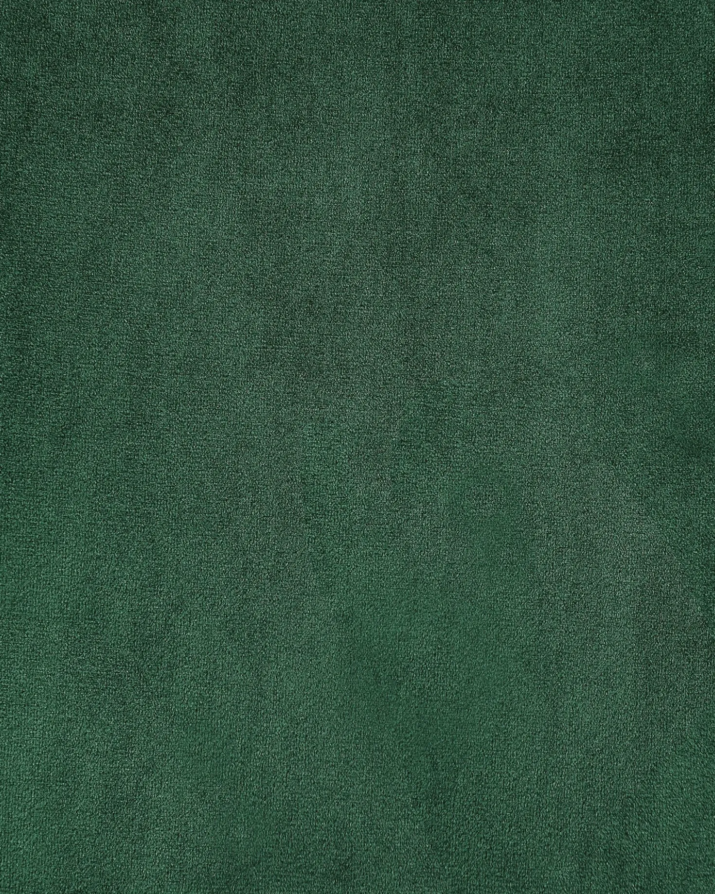 Sedia da pranzo FLOBY II Velluto Verde smeraldo