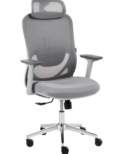 Sedia da ufficio ERVIONE Grigio