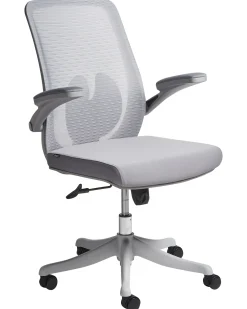 Sedia da ufficio OVERLORD Grigio