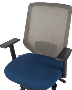 Sedia da ufficio VIRTUOSO Blu