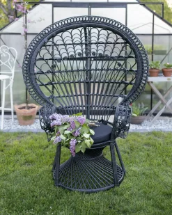 Sedia Peacock EMMANUELLE Rattan Nero