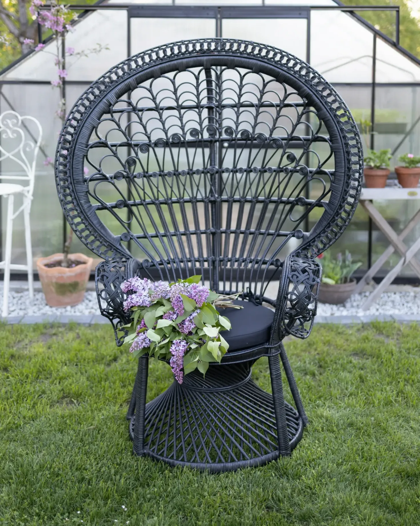 Sedia Peacock EMMANUELLE Rattan Nero