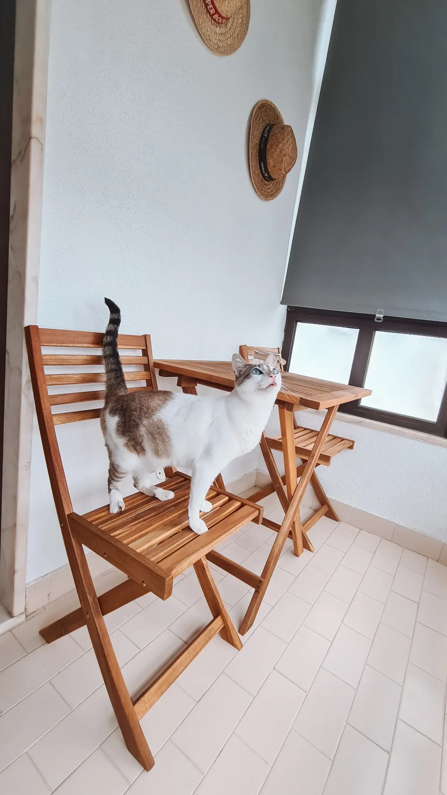 Set bistrot Pieghevole FIJI Legno d'acacia Marrone chiaro