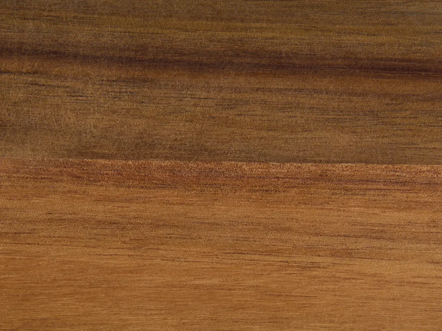 Set da 6 Portauova con 2 supporti FOURNIL Legno d'acacia Marrone