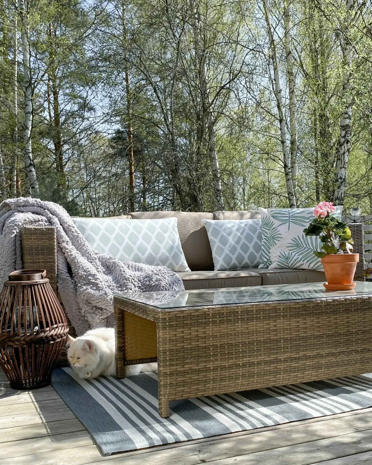 Set da giardino con tavolo 5 posti BELLUNO Rattan sintetico (PE) Marrone