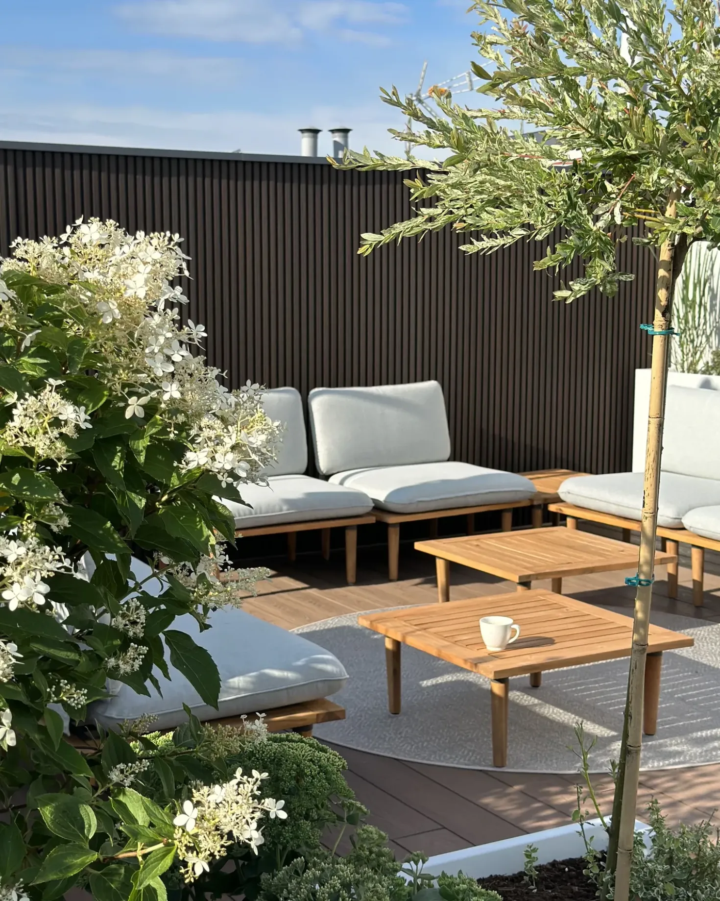 Set da giardino con tavolo 4 posti FRASCATI Modulare Legno di acacia certificato Grigio chiaro