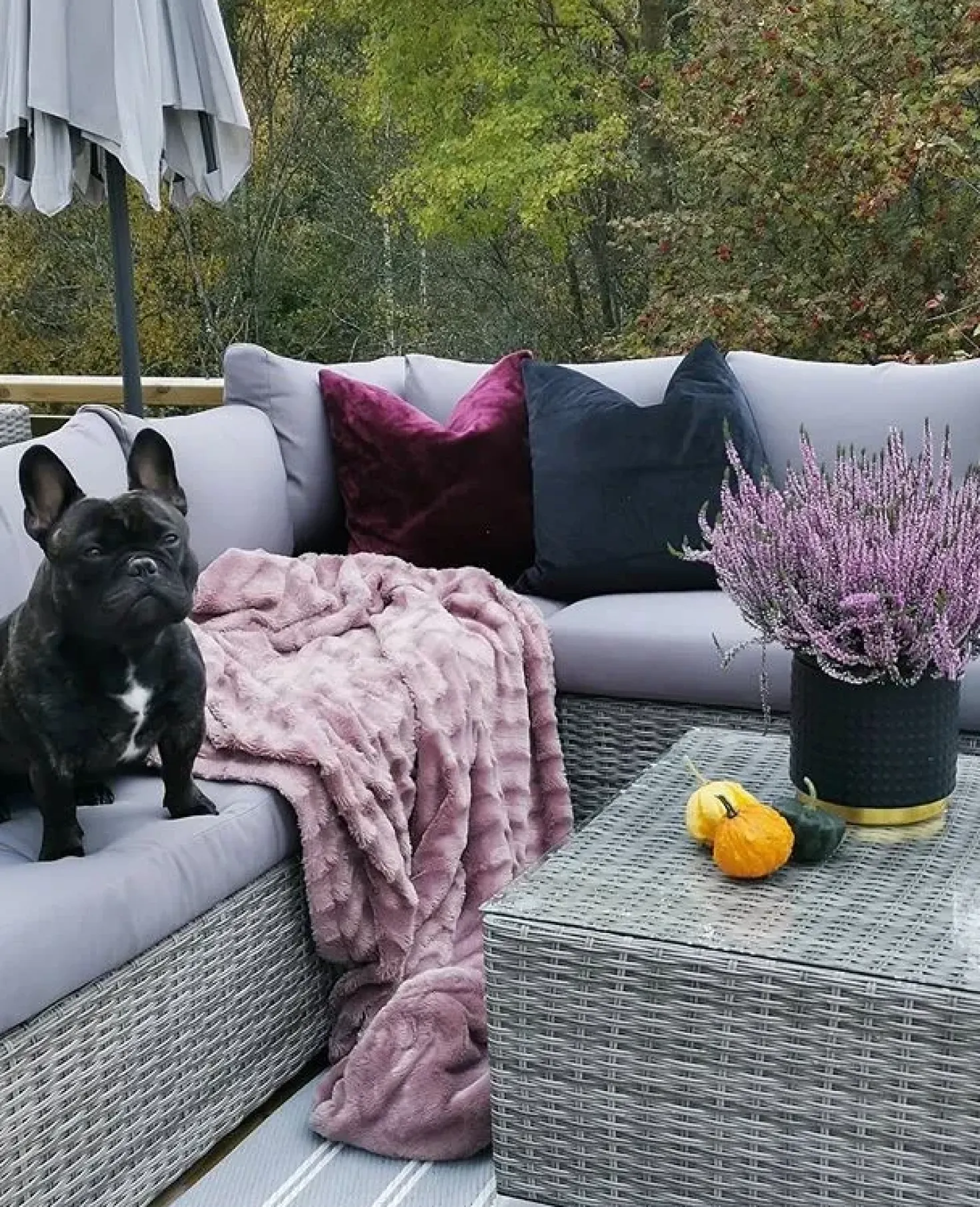 Set da giardino con tavolo 8 posti XXL Lato destro Modulare Rattan sintetico (PE) Grigio