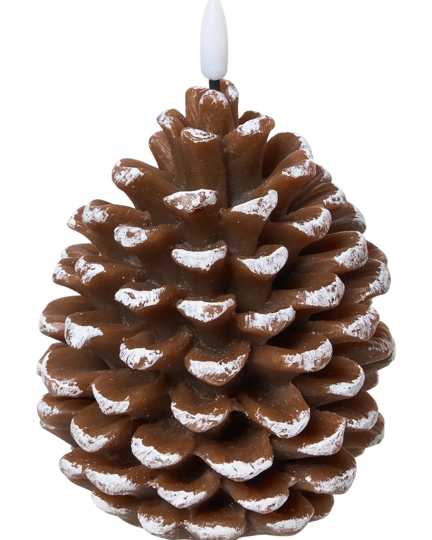 Set di 4 candele LED IVRESSE Pigna 15/12 cm Marrone