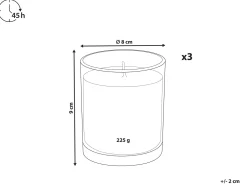 Set di 3 Candele Profumate COLORFUL BARREL Cera di Soia Note fruttate