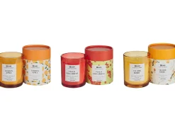 Set di 3 Candele Profumate COLORFUL BARREL Cera di Soia Note fruttate