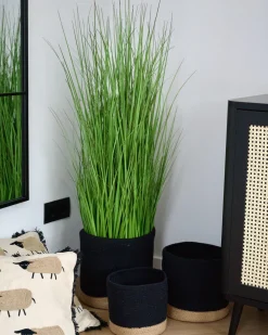 Set di 3 cestini BASIMA Cotone Nero