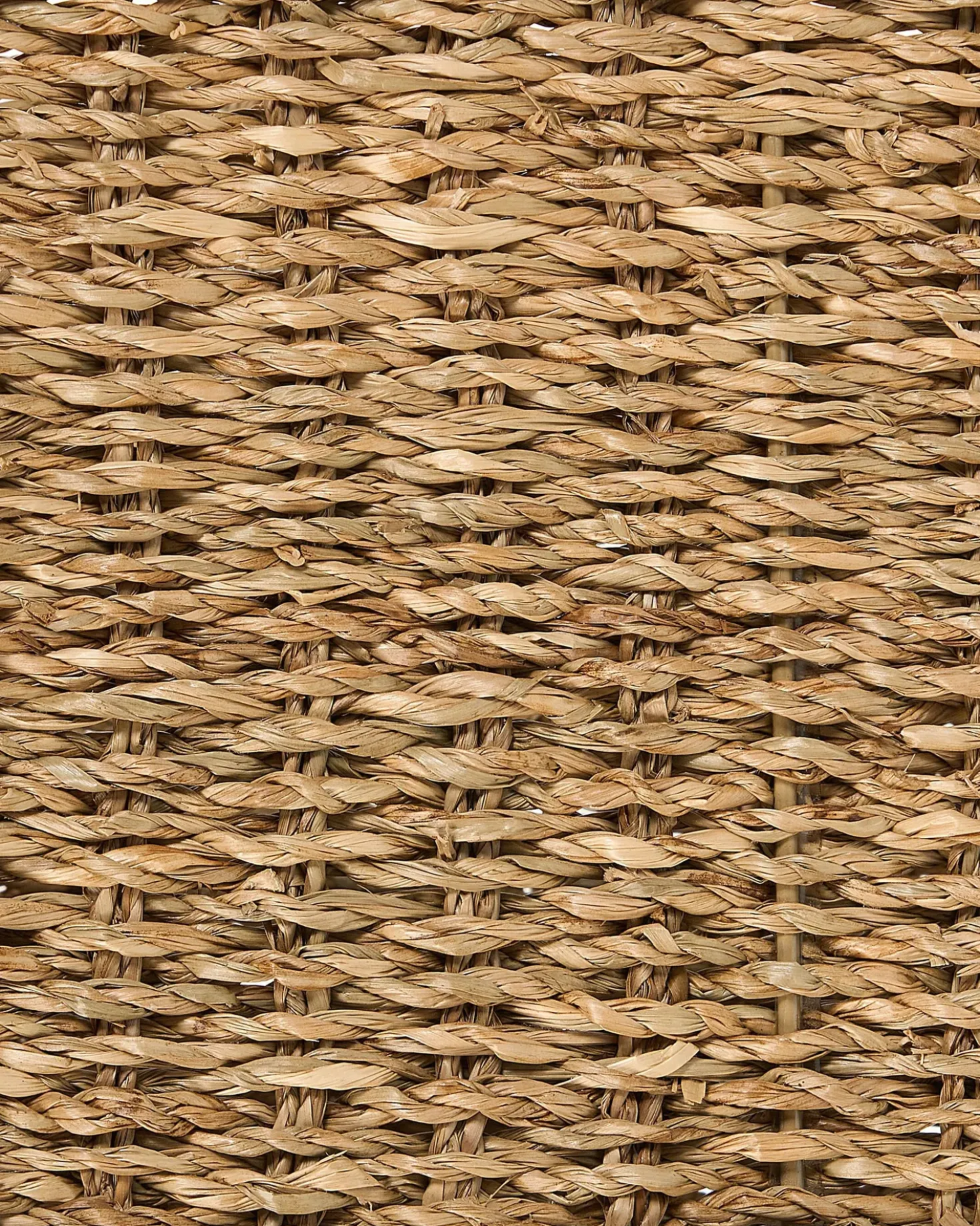 Set di 2 cestini DONGHA Alghe marine Naturale