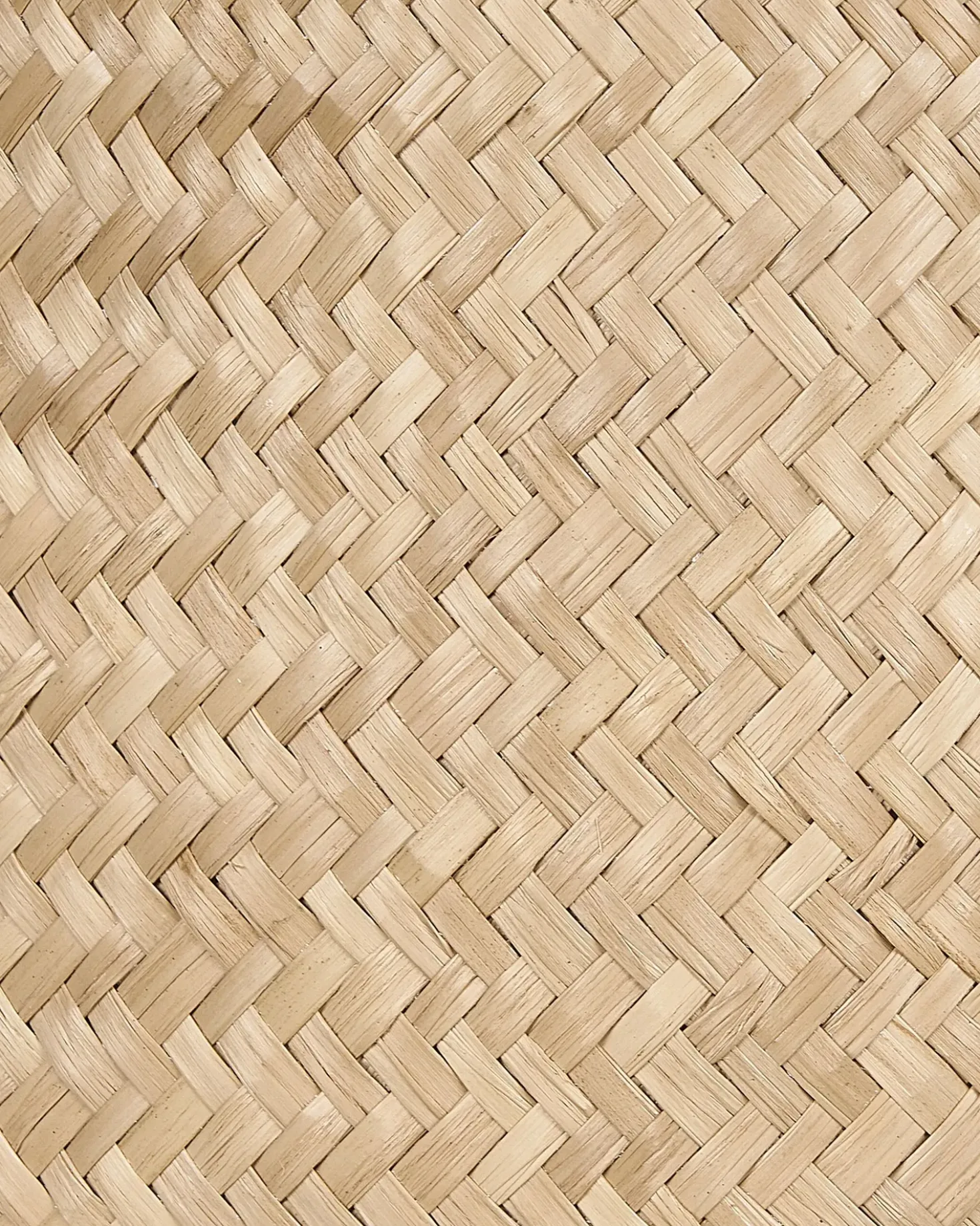 Set di 2 cestini HALONG Alghe marine Naturale