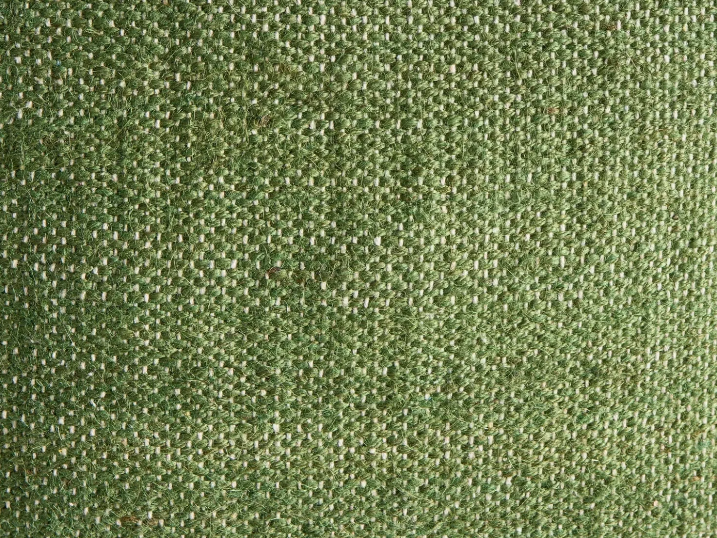 Set di 2 cuscini ANISOPTERA Cotone 30 x 50 cm 45 x 45 cm Verde Tinta unita