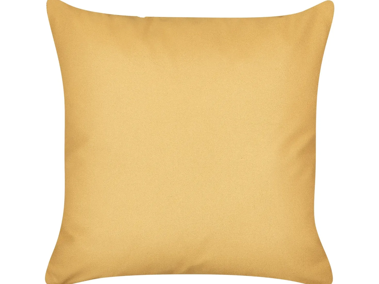 Set di 2 cuscini ASTRANTIA 45 x 45 cm Giallo