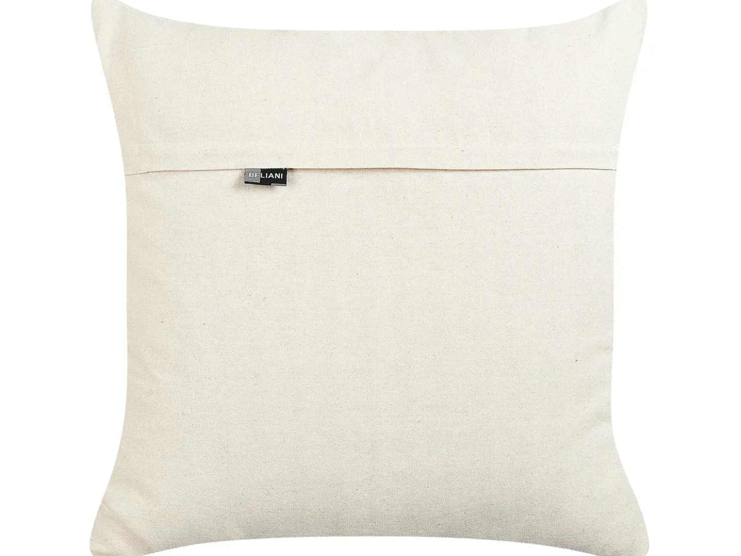 Set di 2 cuscini BAHRAICH Cotone 50 x 50 cm Multicolore Trama floreale