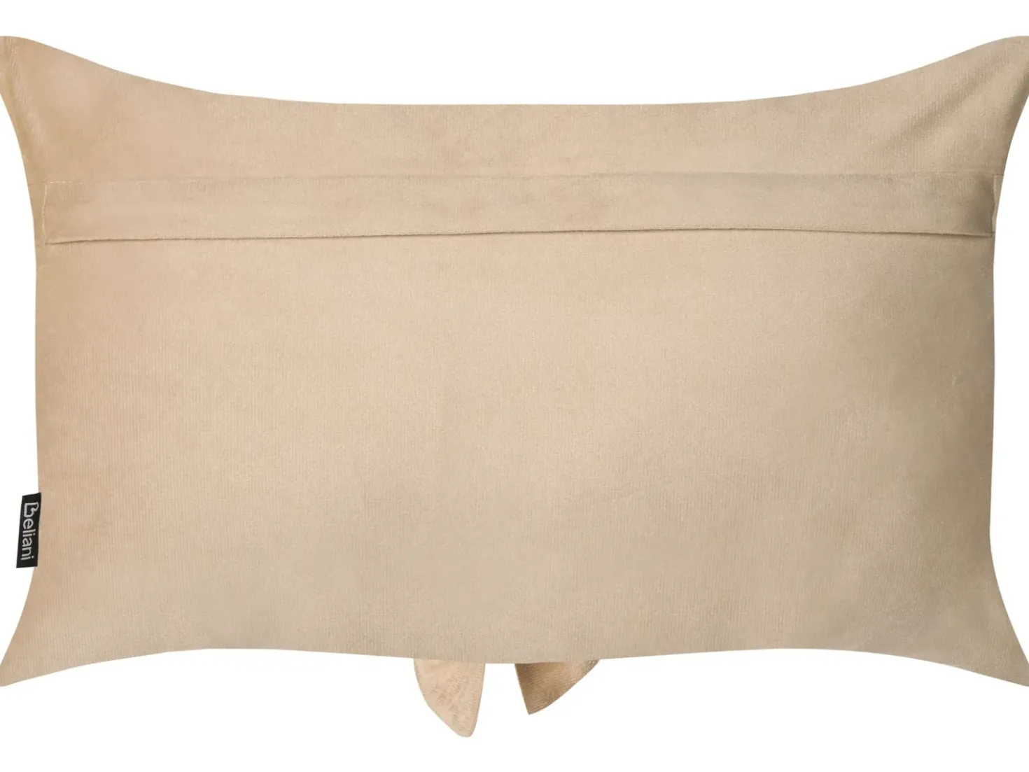 Set di 2 cuscini BELLE Velluto 30 x 50 cm Beige Tinta unita